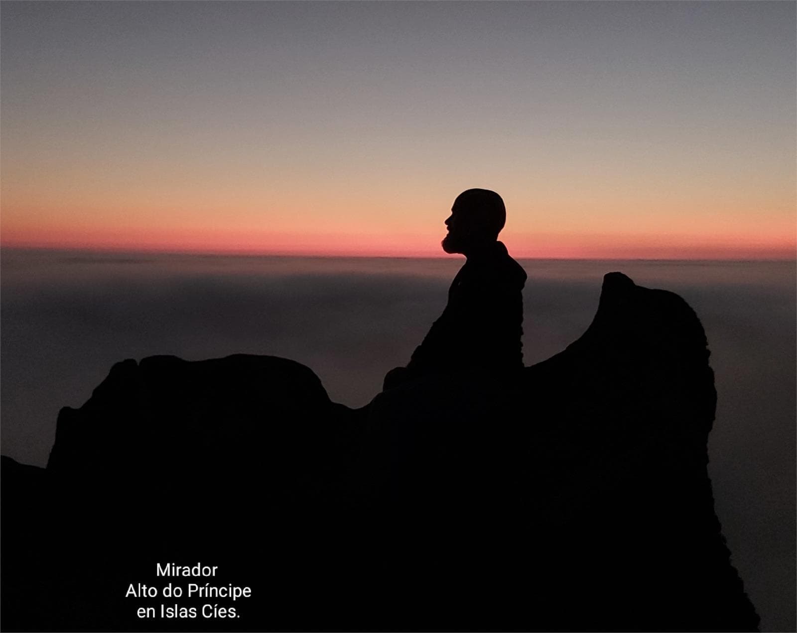 MANIFIESTO - Imagen 2